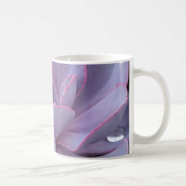 Caneca de Echeveria "Perle von Nurnberg" (Direita)