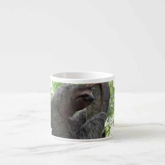 Caneca de escalada da especialidade da preguiça da (Frente)