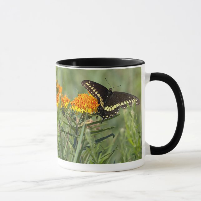 Caneca de Foto de Borboleta (Direita)