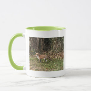 Caneca de Foto de Raposa