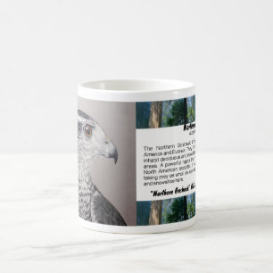 Caneca de Goshawk