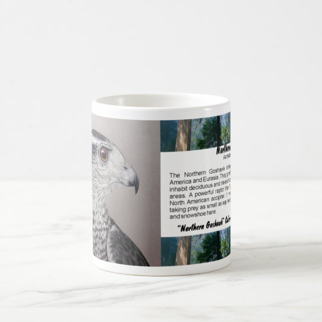 Caneca de Goshawk (Centro)