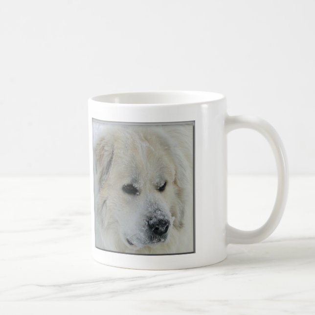 Caneca de grandes Pyrenees (Direita)