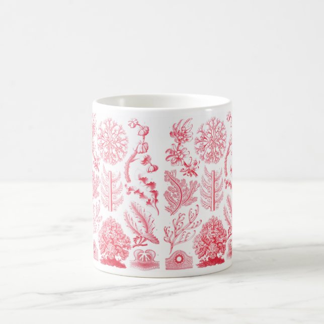 Caneca de Haeckel Florideae (Centro)