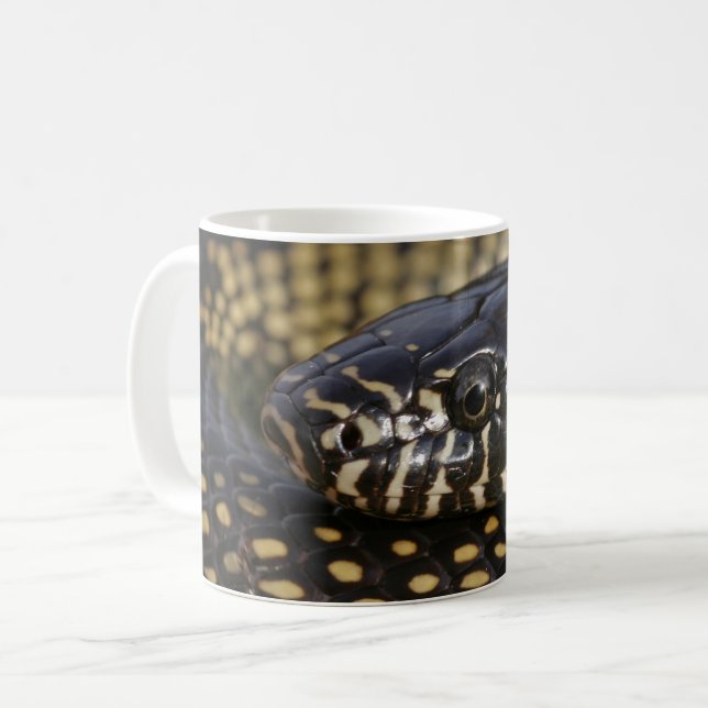 Caneca de Kingsnake do deserto (Frente Esquerda)