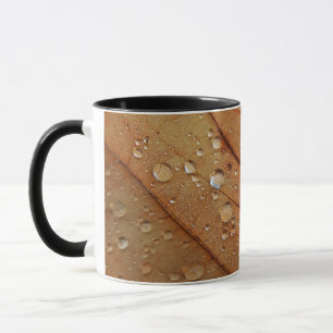 Caneca de Outono