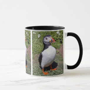 Caneca de Papagaio-do-mar
