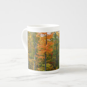 Caneca De Porcelana Árvores de Bordo Outono Fotografia da Natureza