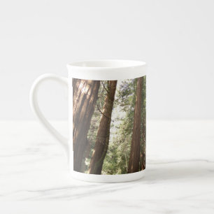 Caneca De Porcelana Até Redwoods II no Monumento Nacional Muir Woods