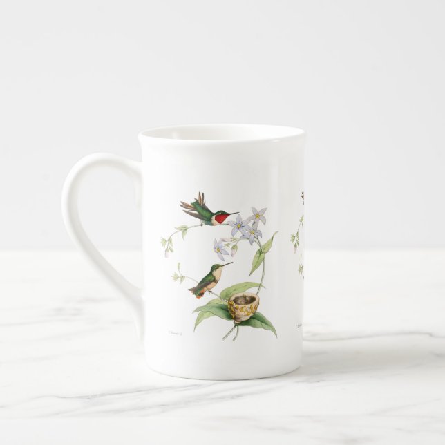 Caneca De Porcelana Cogumelos História Natural Osso China Mug (Esquerda)