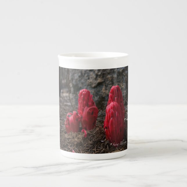 Caneca De Porcelana Flores de Neve (Frente)