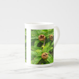 CANECA DE PORCELANA FRUTA MEDLAR