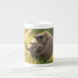Caneca De Porcelana Hedghog