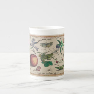 Caneca De Porcelana Os insetos antigos, flores, frutificam Hoefnagel
