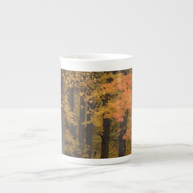 Caneca De Porcelana Tulip Poplar Mug (Frente)