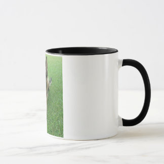 Caneca de Warwick