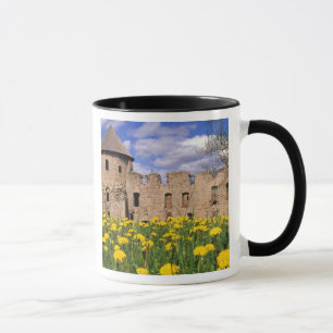 Caneca Dentes-de-leão rodeiam o Castelo de Cesis no centr