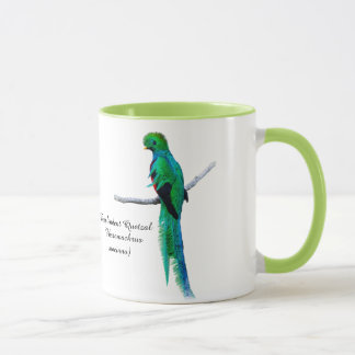 Caneca Desenho quetzal Ilustração das aves Aquarela
