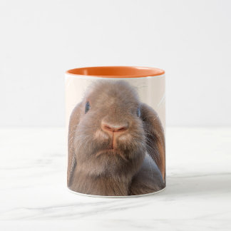 Caneca Design de Foto Personalizado Holland Lop Amante de