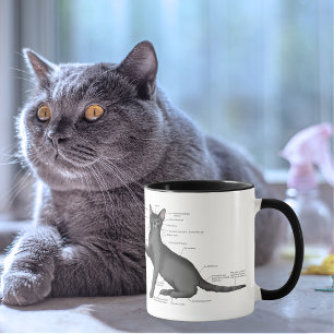 Caneca Diagrama de Anatomia de Gato Engraçado Humor Nerd