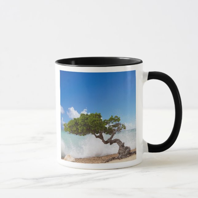 Caneca Divi Divi Tree, Eagle Beach, Aruba, Caribe (Direita)