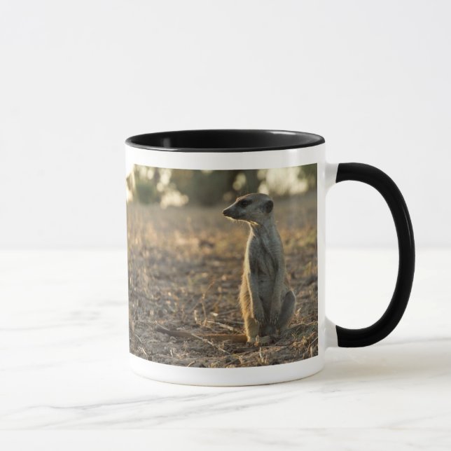 Caneca do aniversário de Zaphod 12a (Direita)