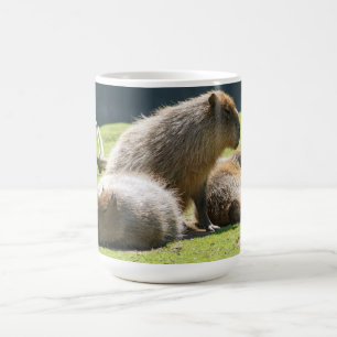 Caneca do Capybara