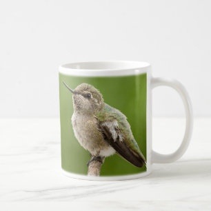 Caneca do colibri