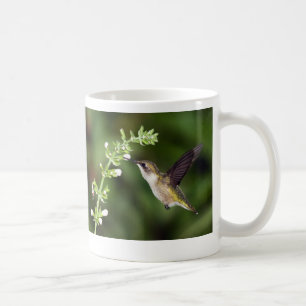 Caneca do colibri 10