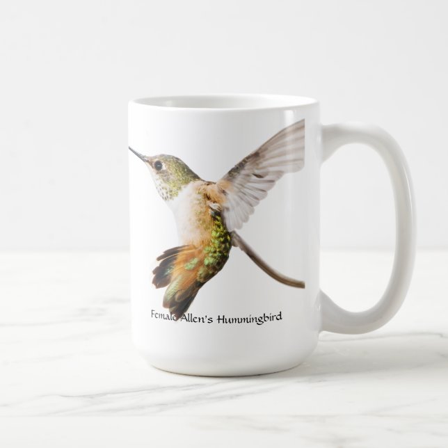 Caneca do colibri de Allen (Direita)