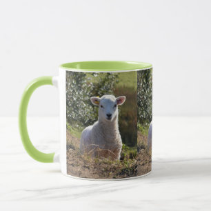 Caneca do cordeiro do primavera