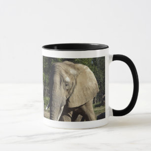Caneca do elefante