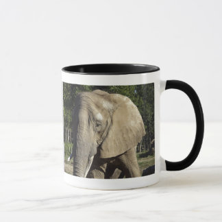 Caneca do elefante