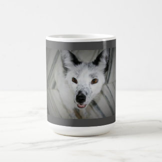 Caneca do Fox - Boris