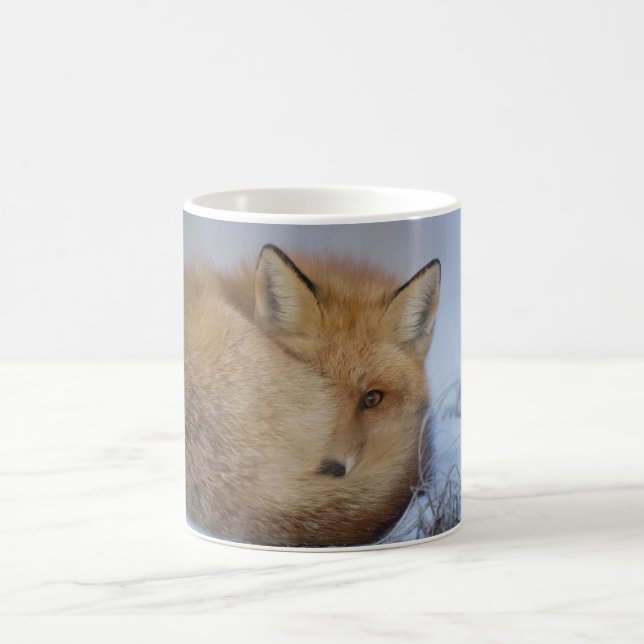 Caneca do Fox, caneca foxy, raposas, natureza, (Centro)