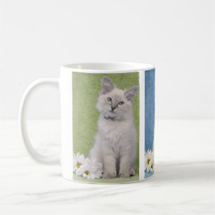Caneca do gatinho de Ragdoll