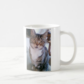 Caneca do gato