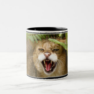 CANECA do gato de selva 01