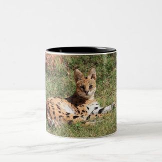 Caneca do gato do Serval
