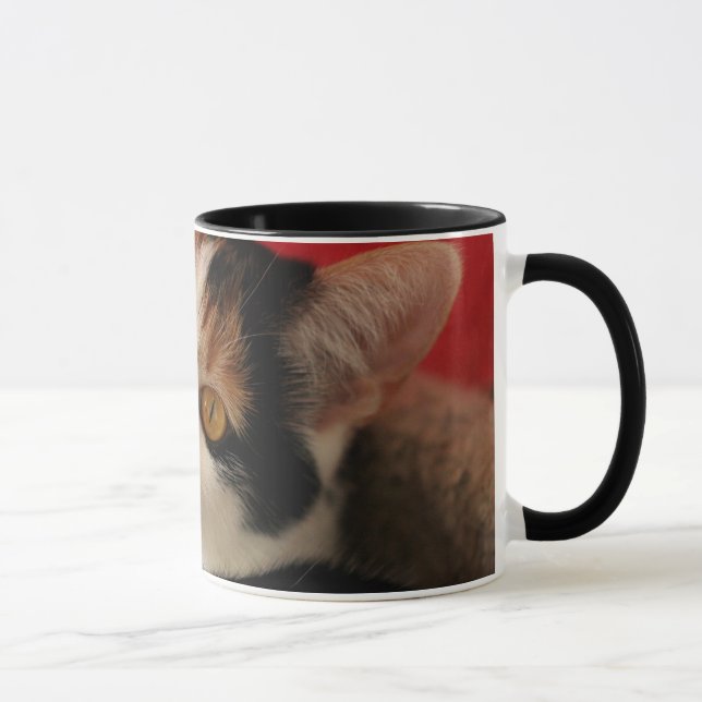 Caneca do gato - mamã do gato do mundo a melhor (Direita)
