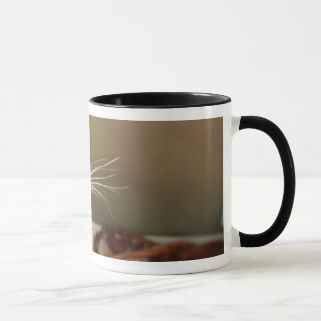 Caneca do joaninha (Direita)