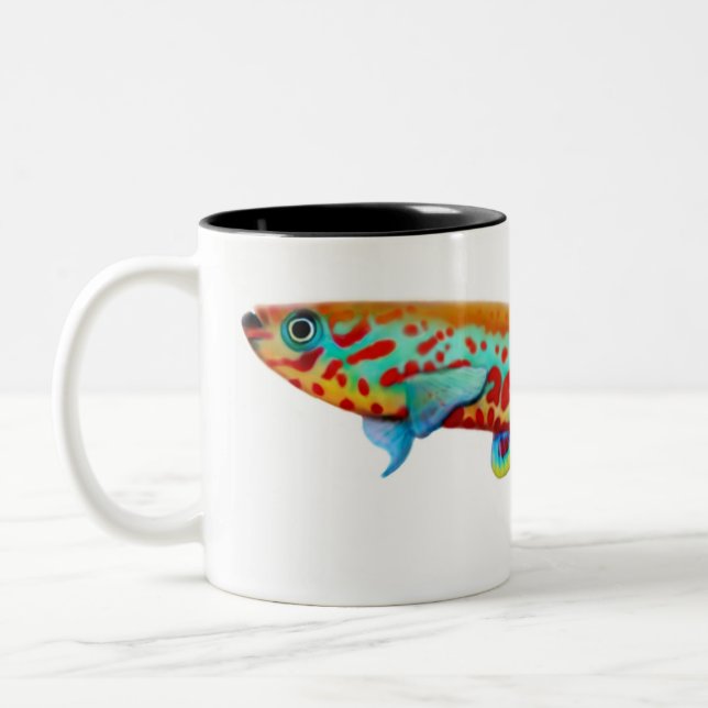 Caneca do Killifish de Fundulopanchax Gardneri (Esquerda)
