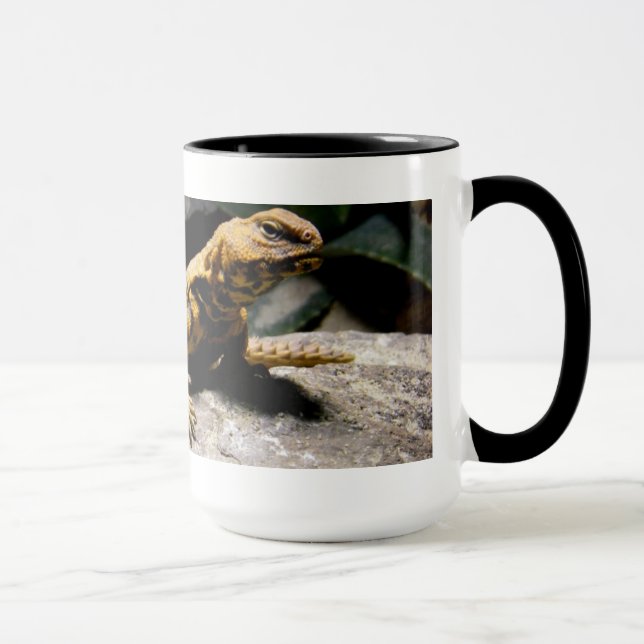 Caneca do lagarto (Direita)