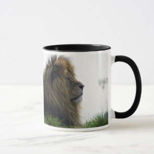 Caneca do leão