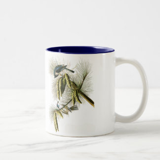 Caneca do pássaro de Audubon, Titmouse adornado,