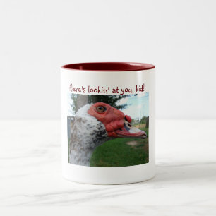 Caneca do pato de Muscovy