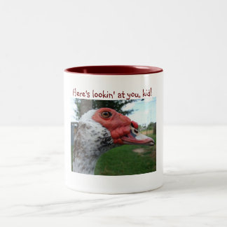 Caneca do pato de Muscovy
