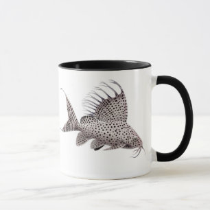 Caneca do peixe-gato do eupterus de Synodontis
