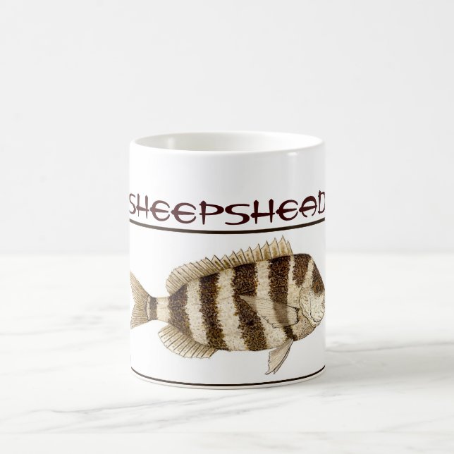 Caneca do Sheepshead (Centro)