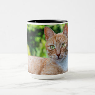 Caneca Doce gatinho